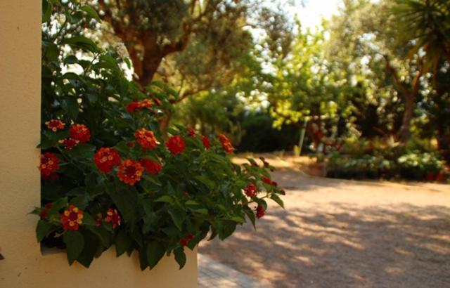 Rio Barca Bed And Breakfast Alghero Ngoại thất bức ảnh