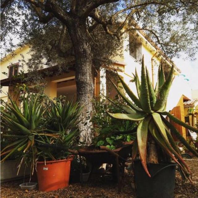 Rio Barca Bed And Breakfast Alghero Ngoại thất bức ảnh